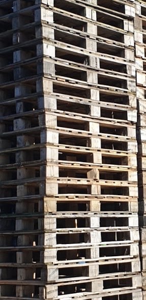 Economy Pallet - Image 2