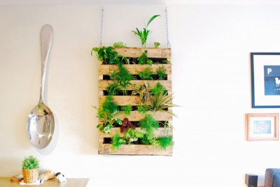 indoor pallet planter